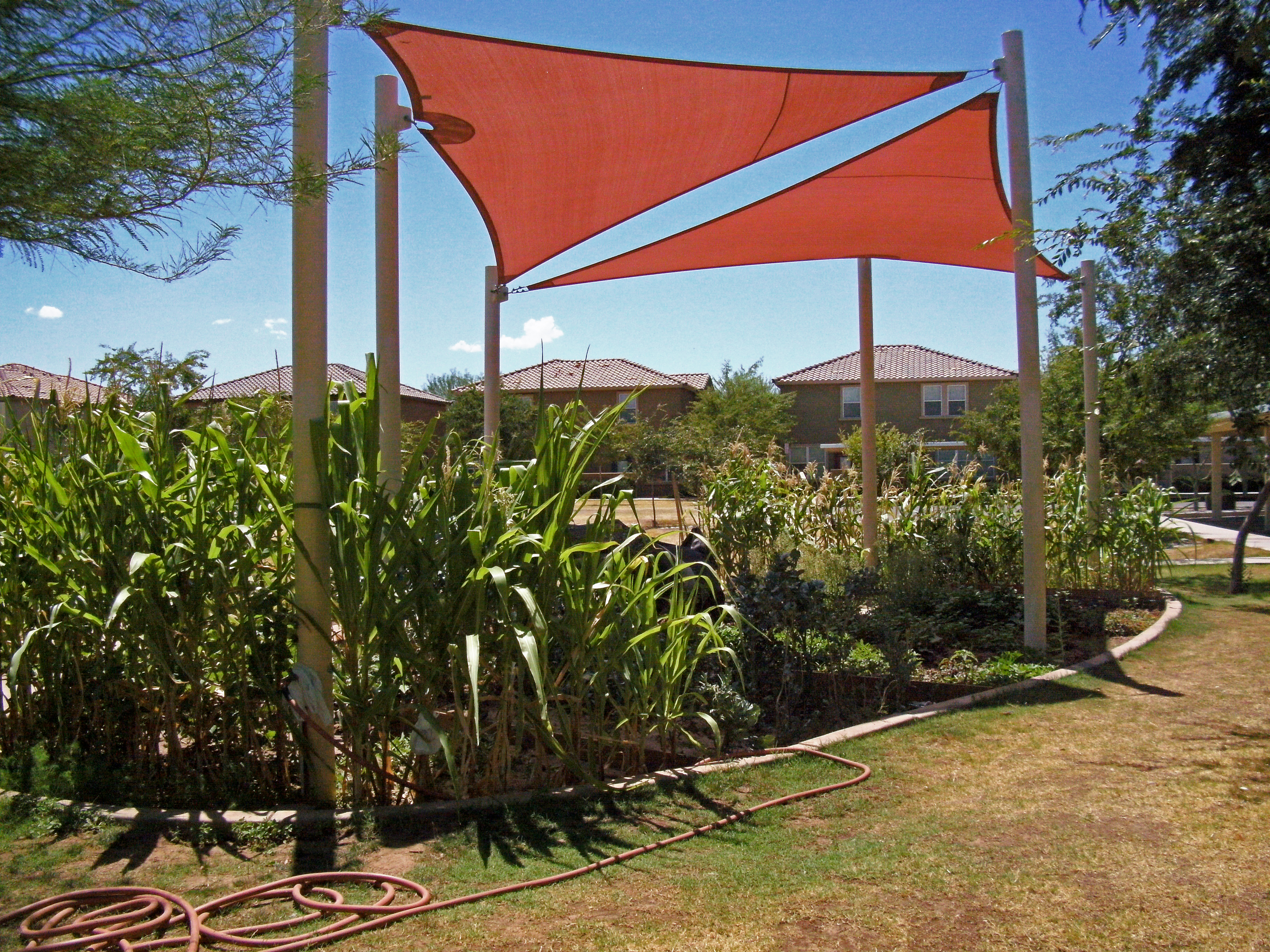 Community Garden in Phoenix with a sun shade. 