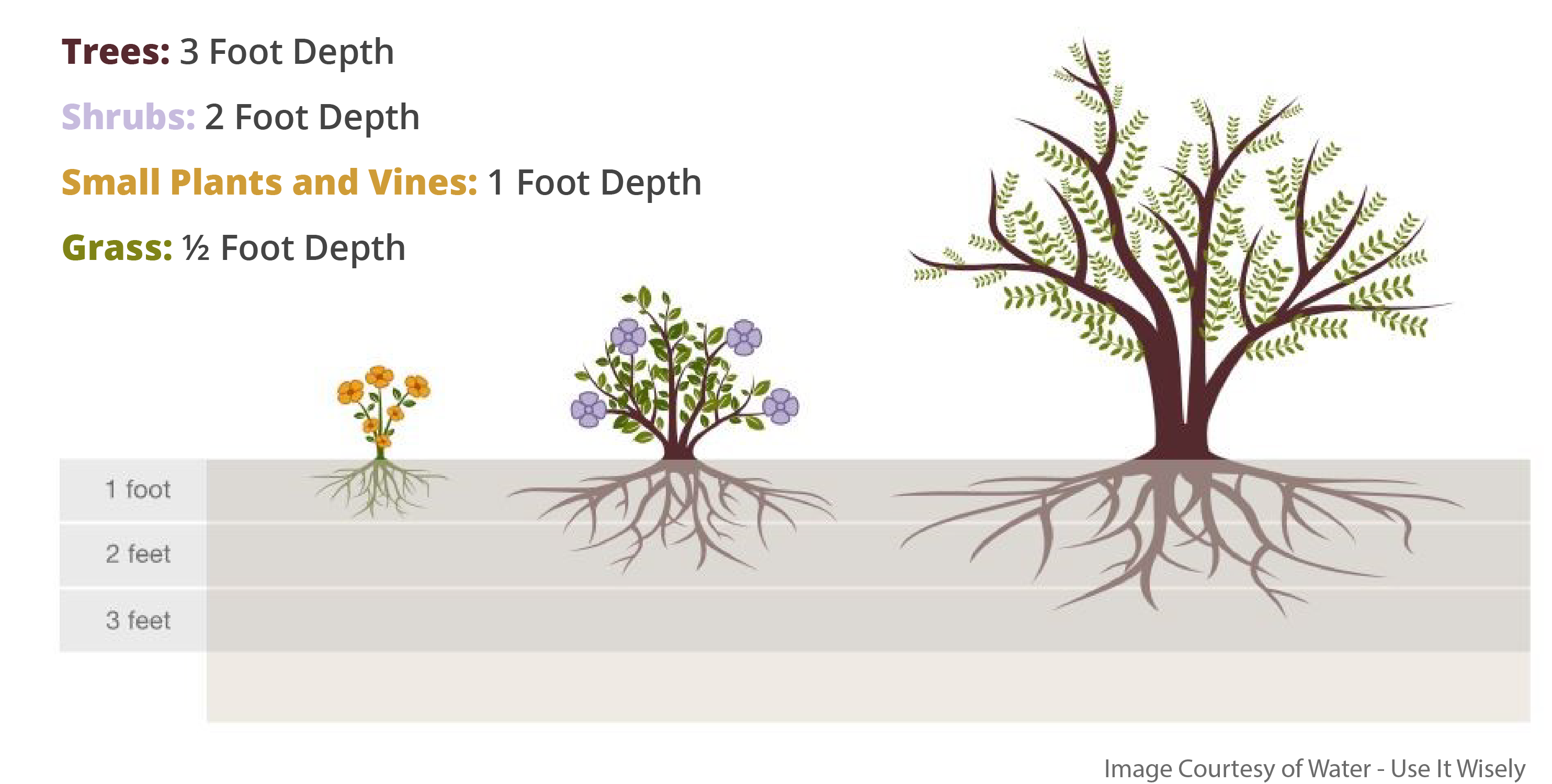 Root watering levels