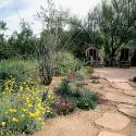 Xeroscape garden, with path