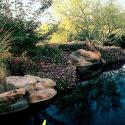 Xeriscape with pond