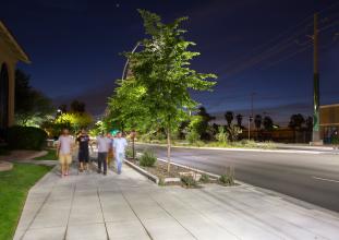 Curb cuts on Southern Avenue in Mesa’s Fiesta District bring rainwater into landscapes that further improves walkability in the area.