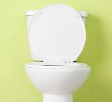 Toilet in front of a pea green wall