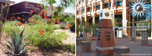 Avondale and Phoenix, respected city halls