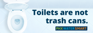 Toilets are not trashcans