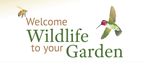 Welcome to Wildlife to your Garden, with bees and humming bird