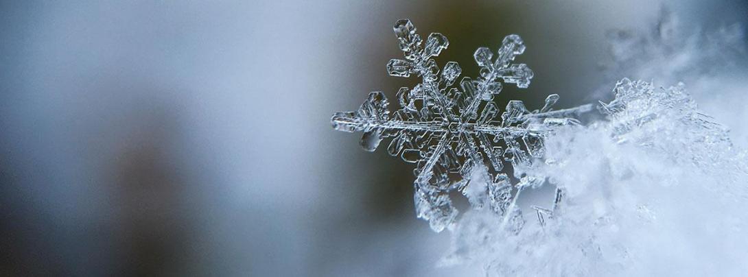 Perfect large snowflake in the wild