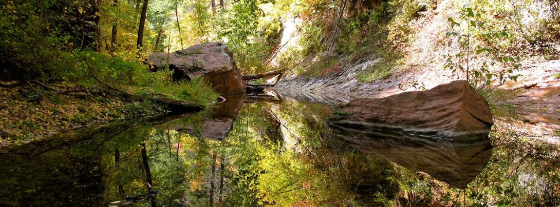 small body of water with the surrounding landscape reflecting in the still water