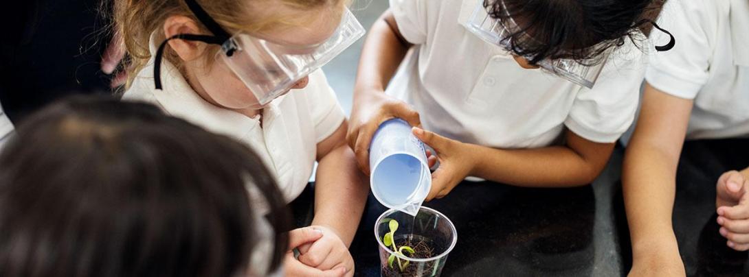 Kids gather around a small sprout in a cup, giving it water. 