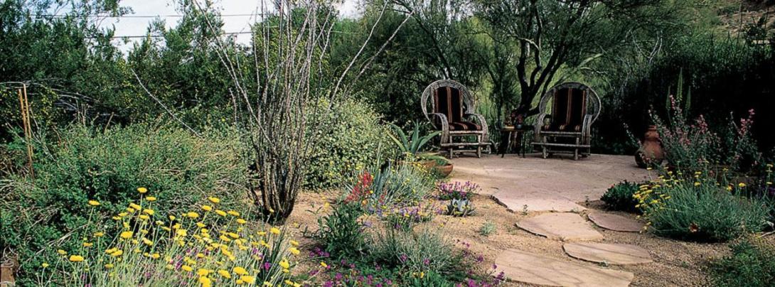 Xeroscape garden. 