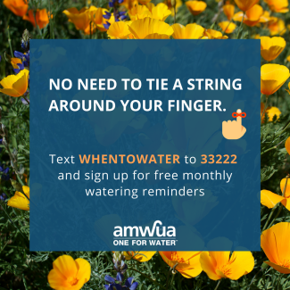 No Need to Tie a string around your finger. Text whentowater to 33222 and sign up for free monthly watering reminders