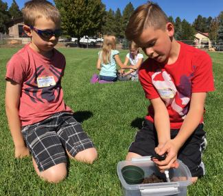 Groundwater Activity 