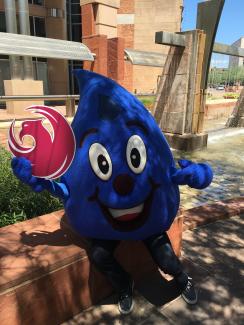 Phoenix Water's Wayne Drop Mascot