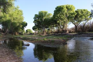 San Pedro River