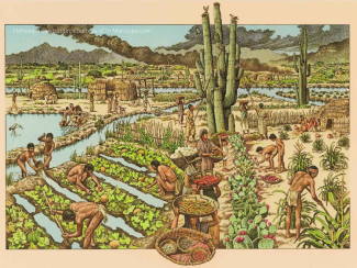 Illustration of Hohokam irrigation