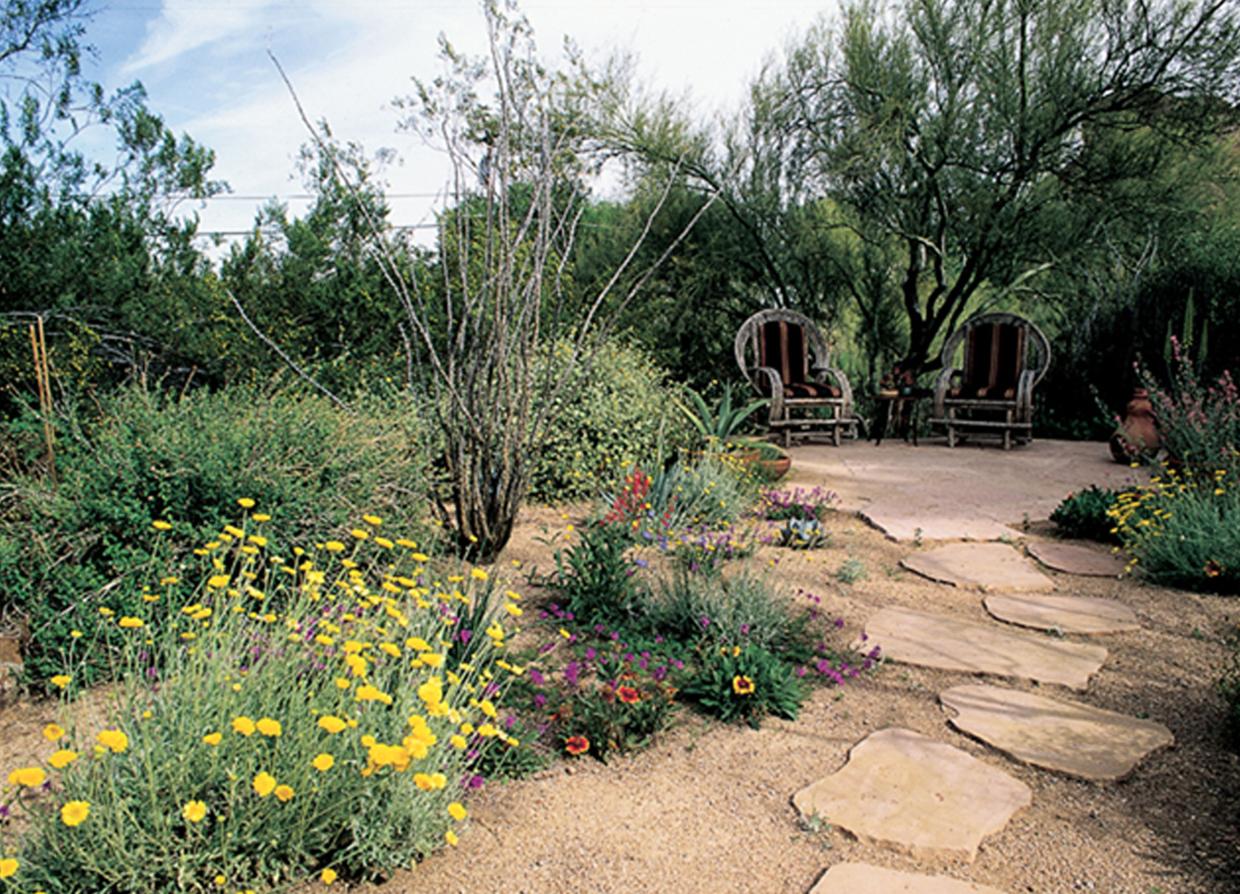 Xeroscape garden, with path